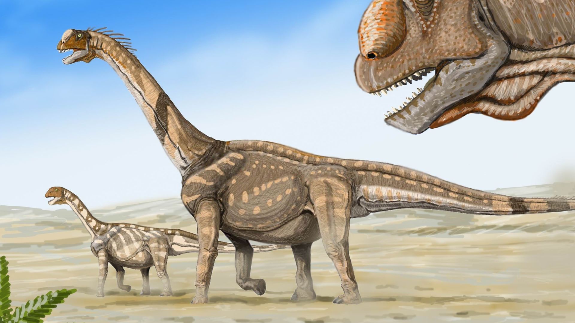 File:Camarasaurs1.jpg