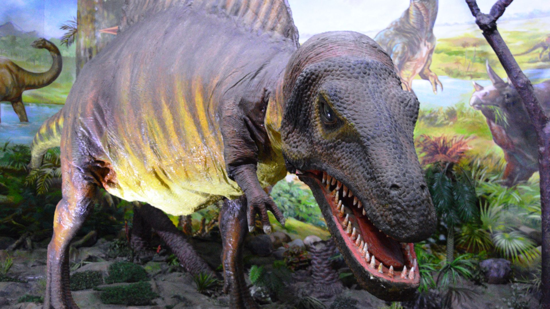 File:Dinosaur Corner.jpg