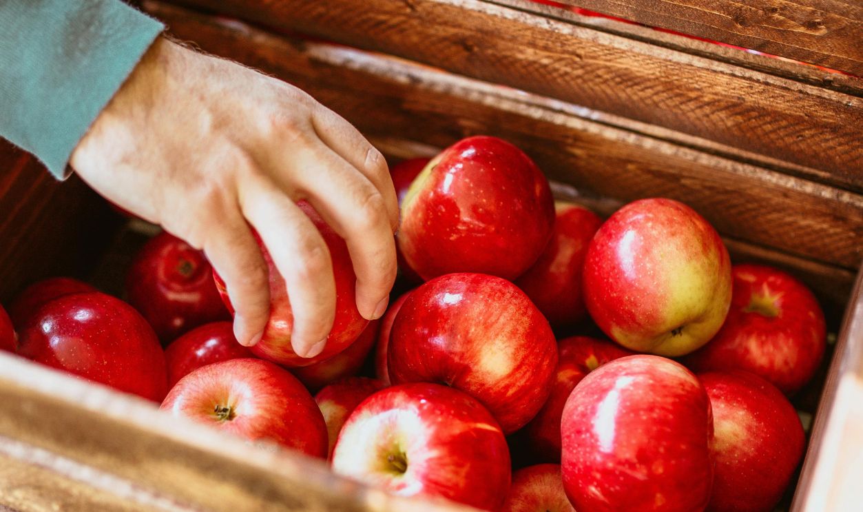 Untitled Design - 2025-12-22T152336.721