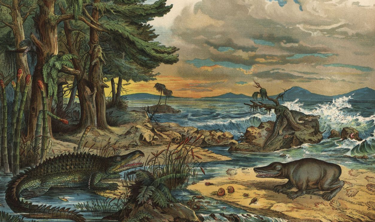 Gettyimages - 1756171452, Restoration of a landscape in Triassic Germany Restoration of a landscape in Triassic Germany: horsetail fern Equisetum columnare, conifer tree Voltzia heterophylla, temnospondyl amphibian Mastodonsaurus, and crocodile Belodon kapffii. Chromolithograph from Dr. Fr. Rolle's