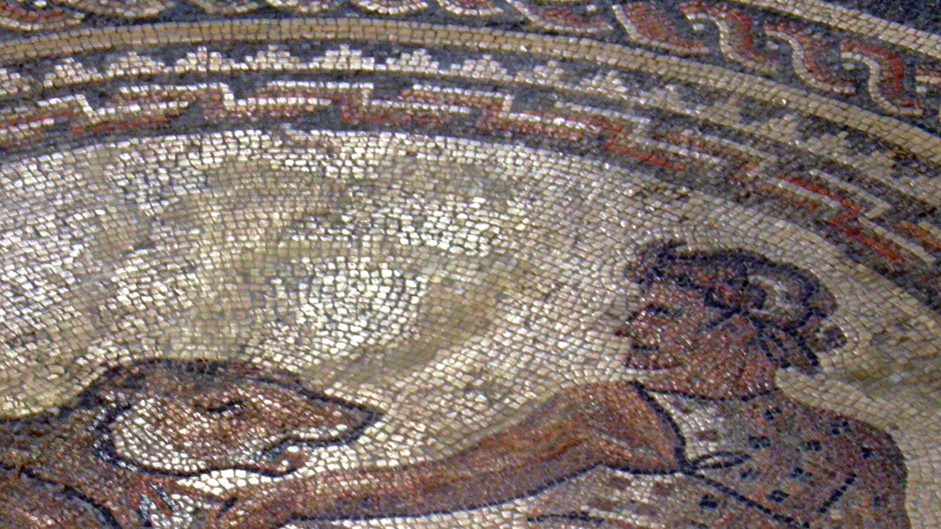 File:Detail of the Gladiator mosaic floor, a Venator fighting a bear, Römerhalle, Bad Kreuznach, Germany (8197205412).jpg