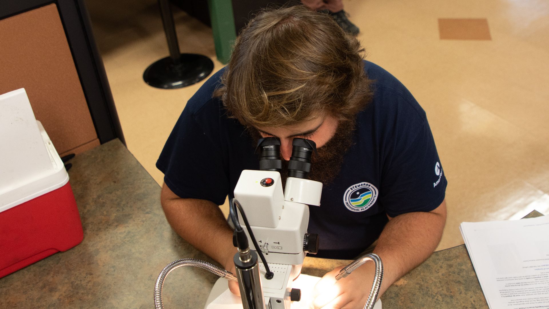 File:A researcher examining a dragonfly larva sample under a microscope (906f6f9a-a882-4ba8-b099-17cc08b7da3e).jpg