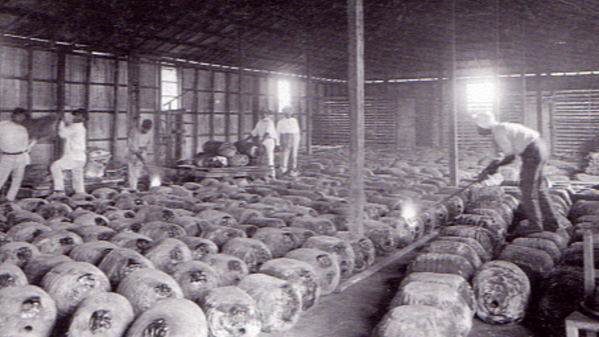 File:Rubber bales, ready for removal, Cachuela Esperanza, 1914.gif