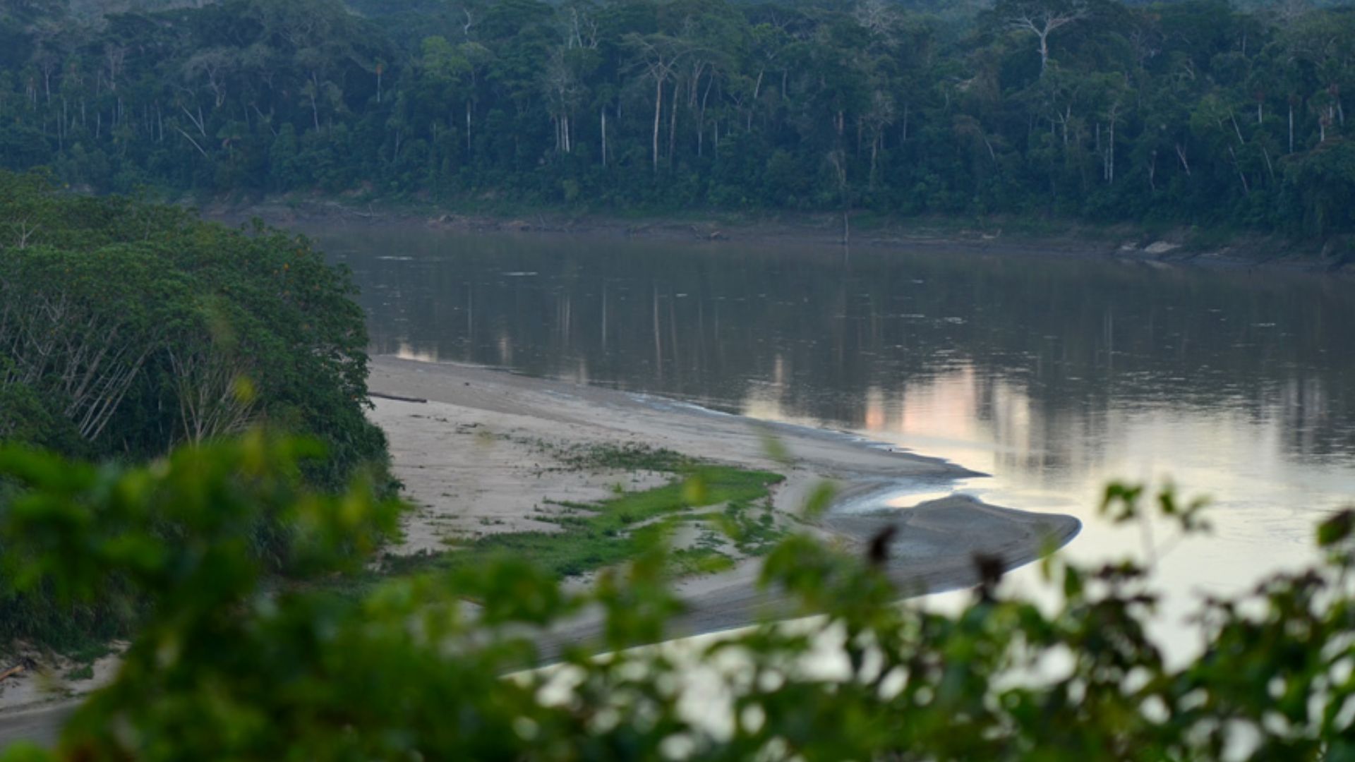 File:Flickr - ggallice - Rio Madre de Dios.jpg