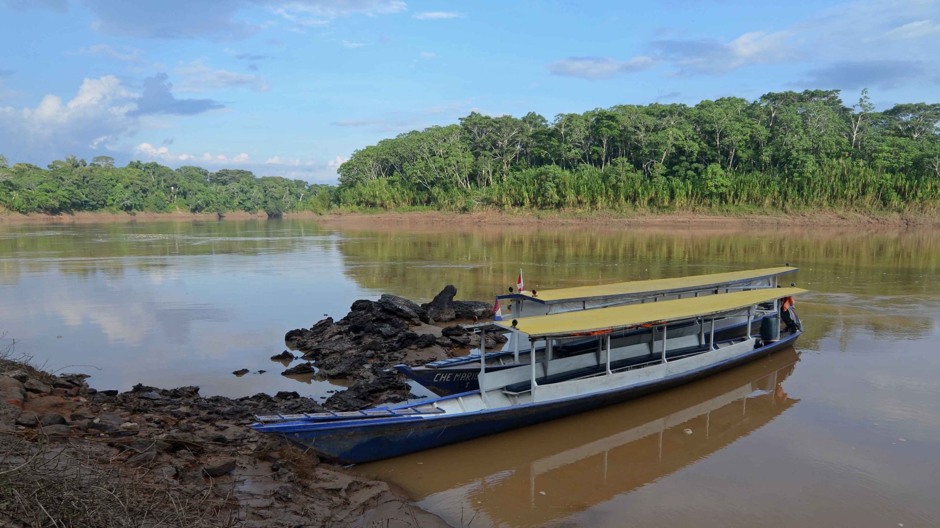File:Flickr - ggallice - Rio Tambopata.jpg