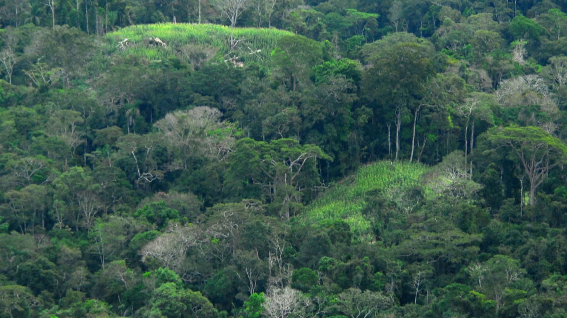 File:Índios isolados no Acre 11.jpg