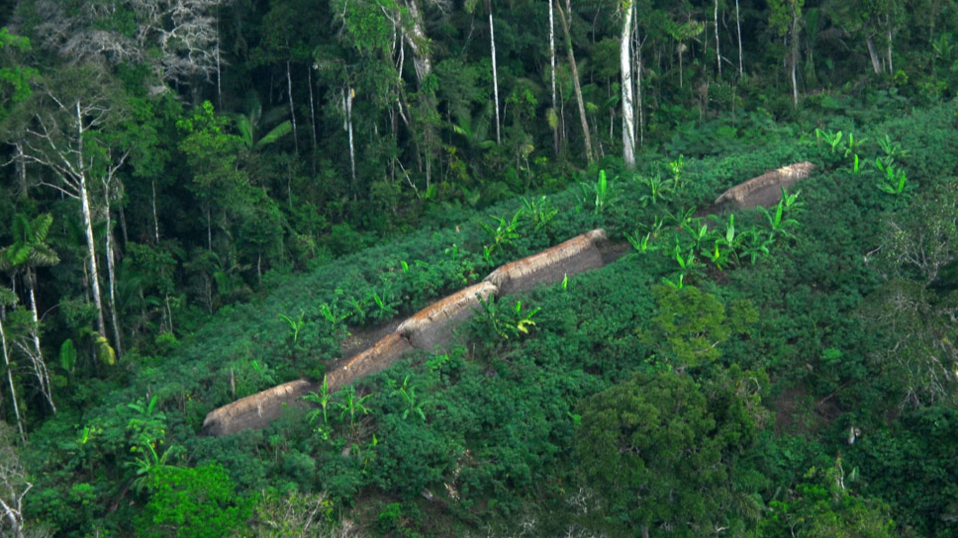File:Índios isolados no Acre.jpg