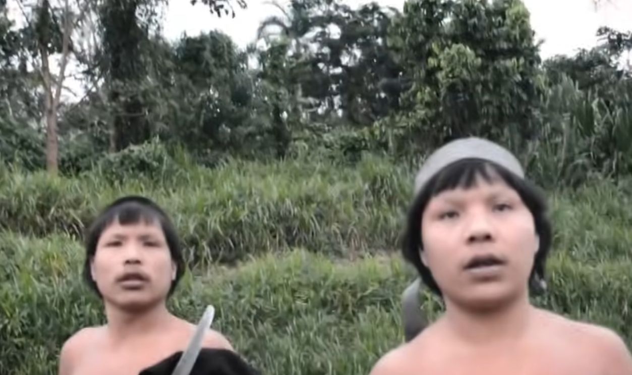 Screenshot from First Contact with An Isolated Amazonian Tribe (Absolute Documentaries, 2020)