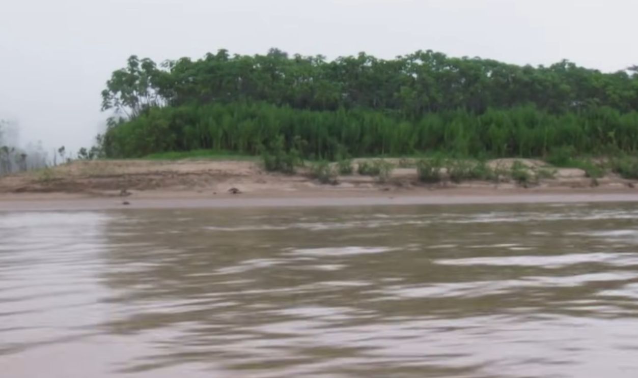 Screenshot from First Contact with An Isolated Amazonian Tribe (Absolute Documentaries, 2020)