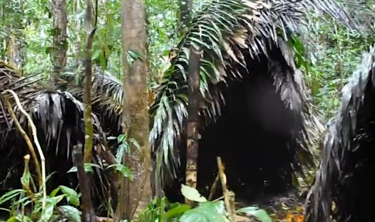 Screenshot from First Contact with An Isolated Amazonian Tribe (Absolute Documentaries, 2020)