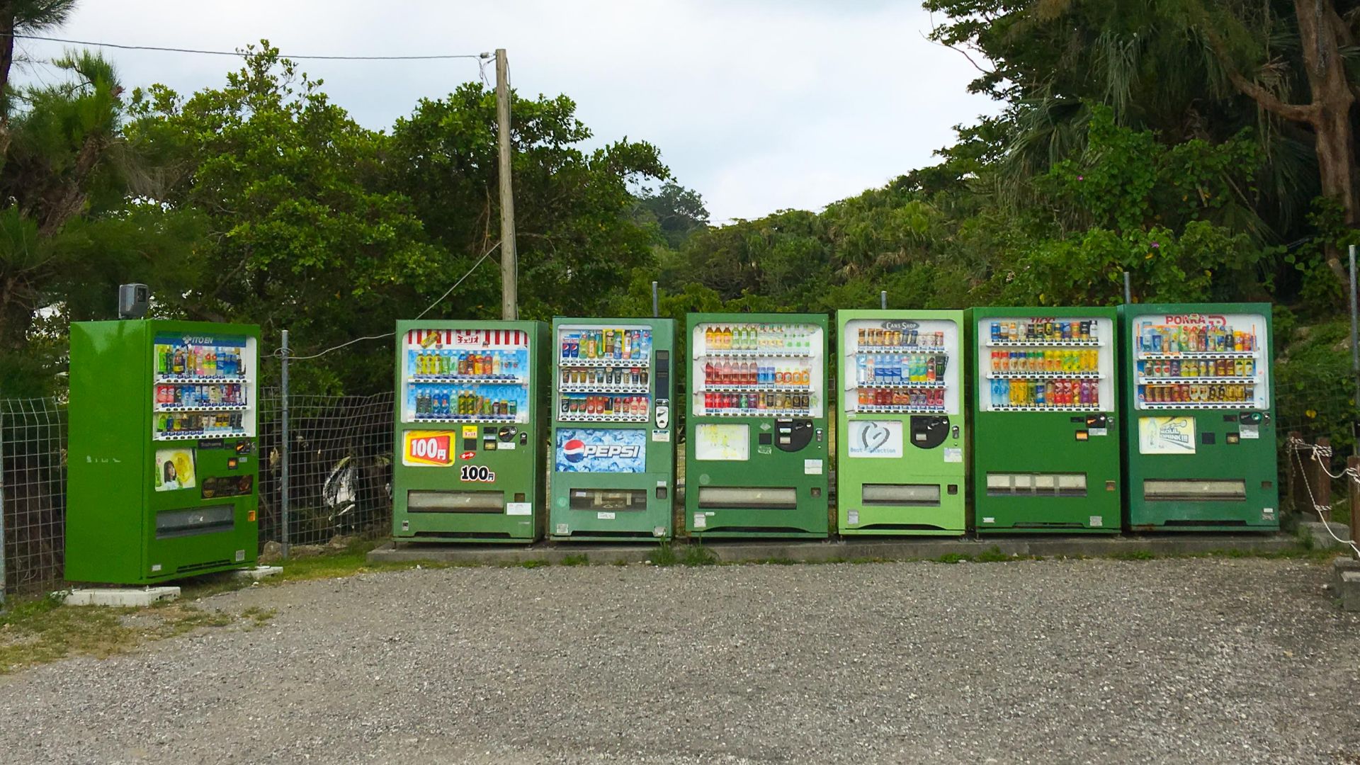 File:Vending Machines in Japan (43679427685).jpg