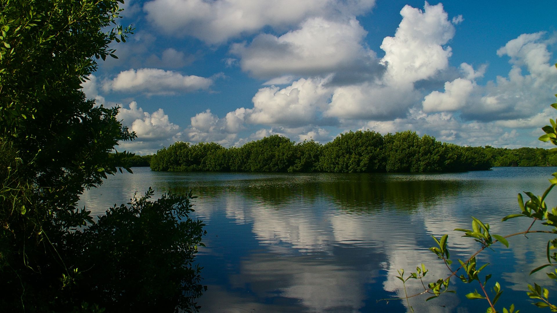 File:Everglades National Park 04.jpg
