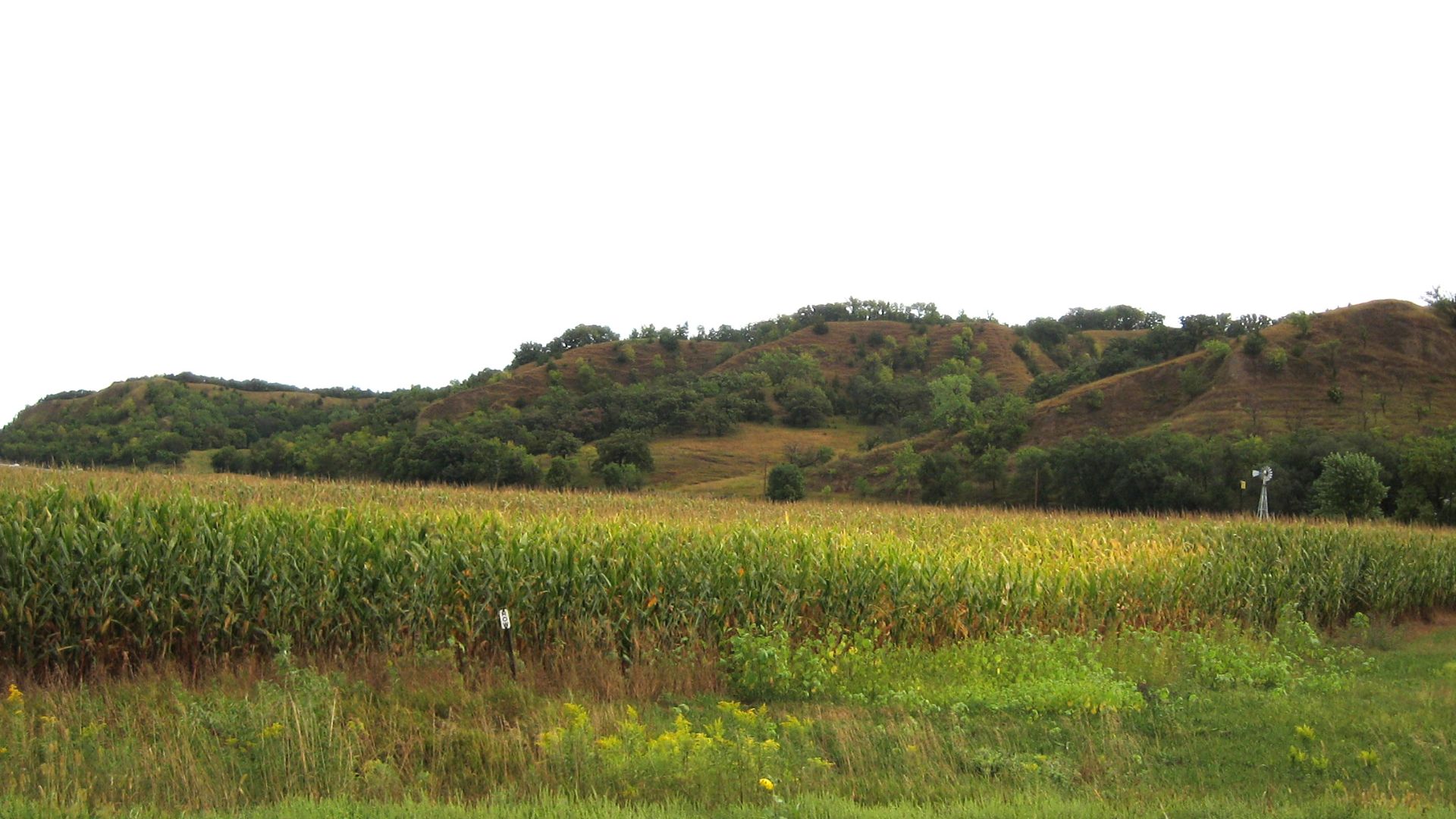 File:Loess hills.jpg