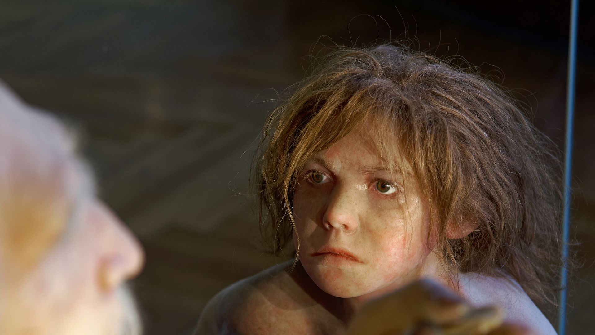 File:Homo neanderthalensis, The Natural History Museum Vienna, 20210730 1225 1278.jpg