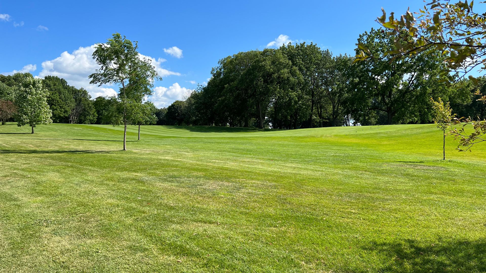 File:Whitnall Park golf green space.jpg