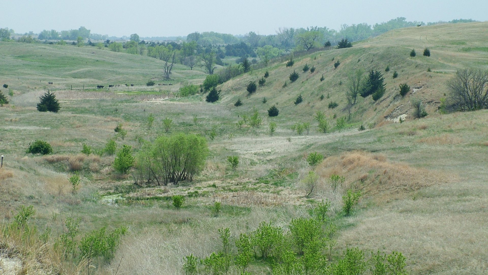 File:USA ne creighton ashfallshp2.jpg