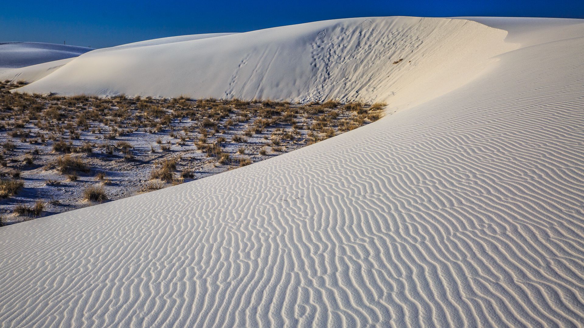 File:White Sands National Monument - New Mexico - dawn in the desert - (17913304838).jpg