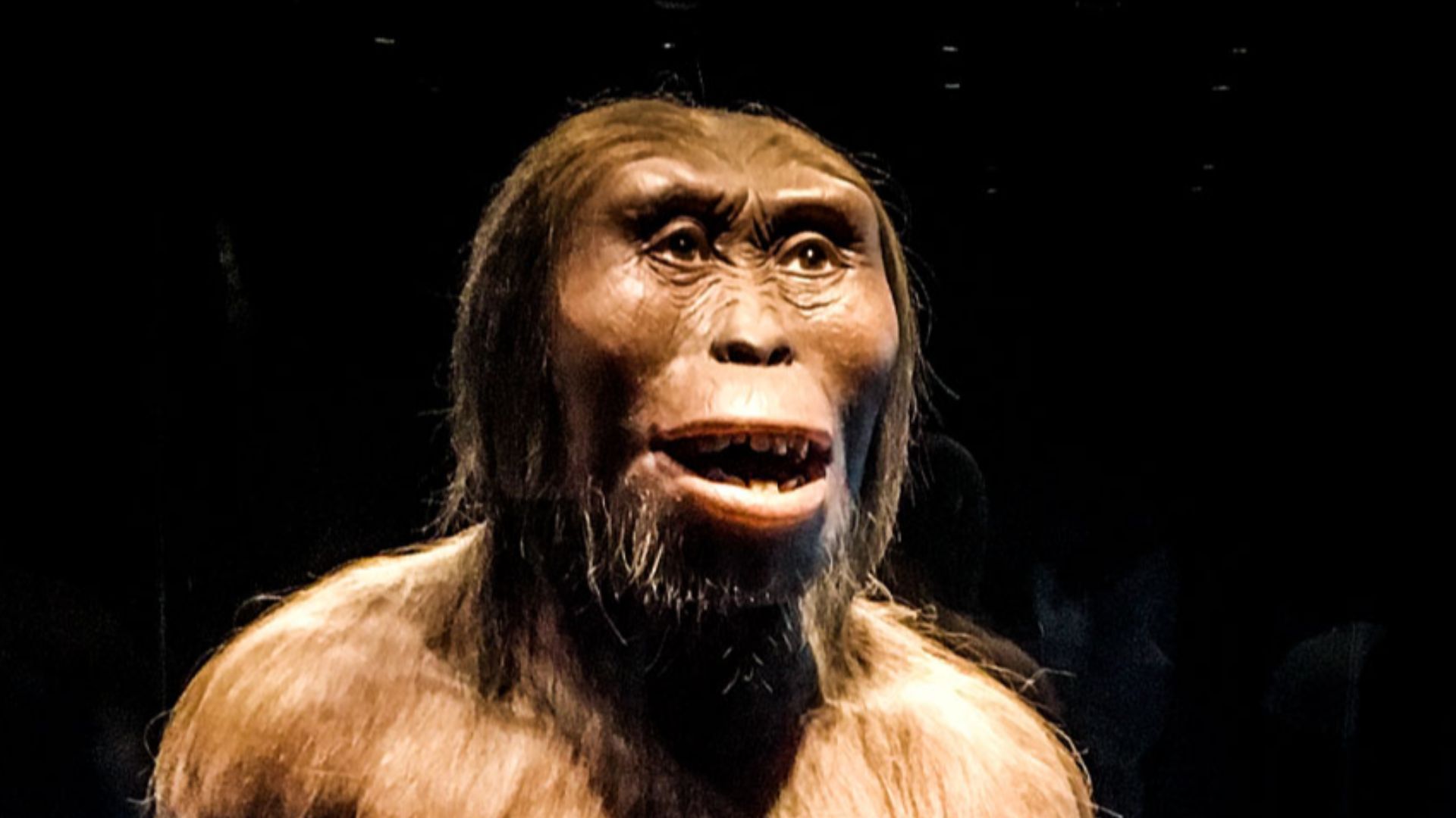 File:Bienvenida al Museo de Lucy.jpg