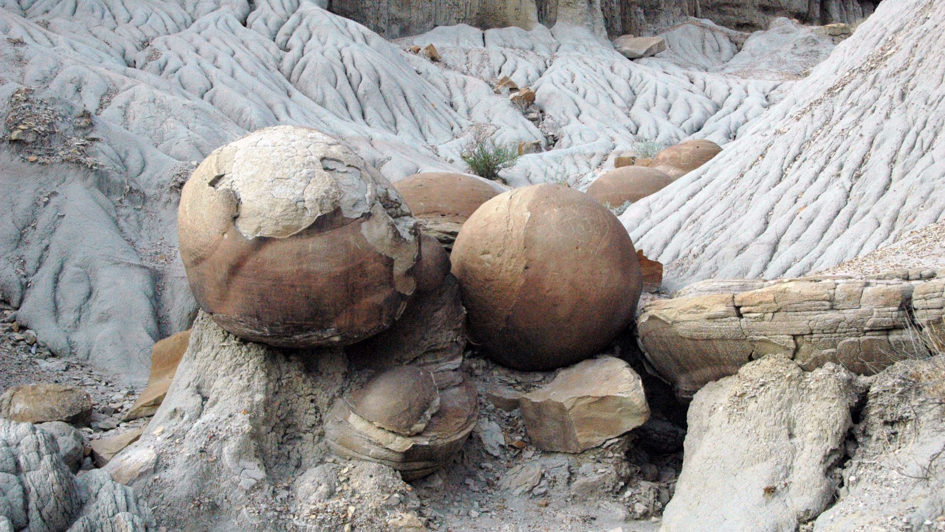File:Cannonball concretions (Sentinel Butte Formation, Upper Paleocene; Little Missouri Badlands, North Dakota, USA) 13.jpg
