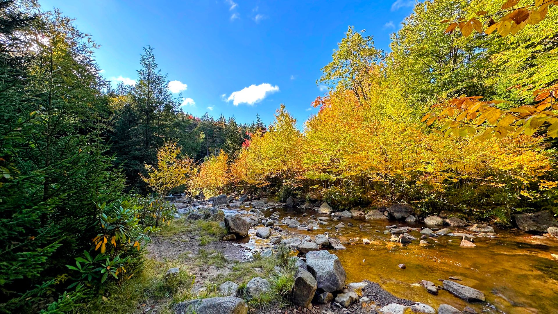 File:Dolly-sods-wilderness-2023-10 outdoors 03.jpg