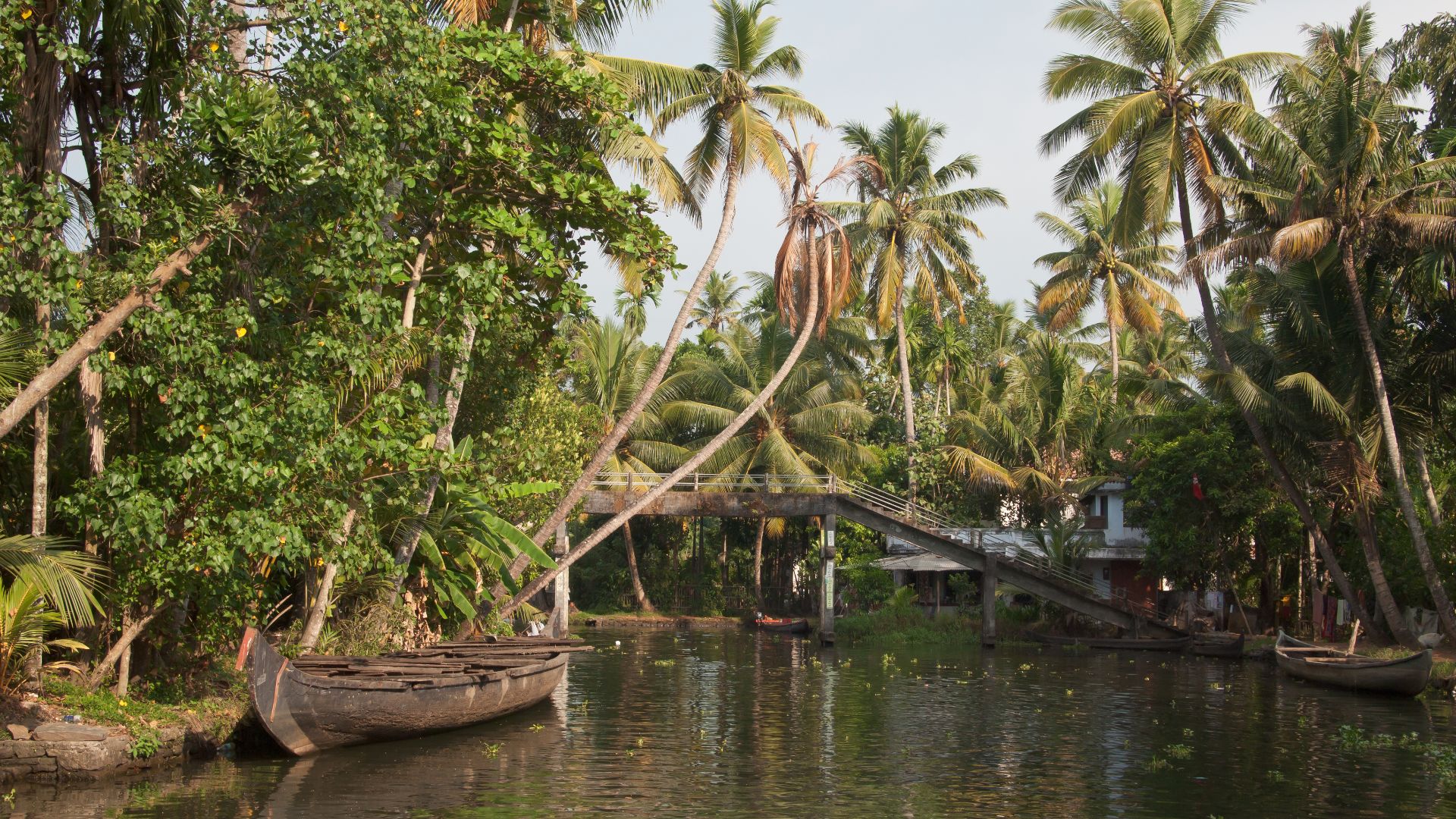 File:Kerala backwaters, Canal, Palm trees, India.jpg