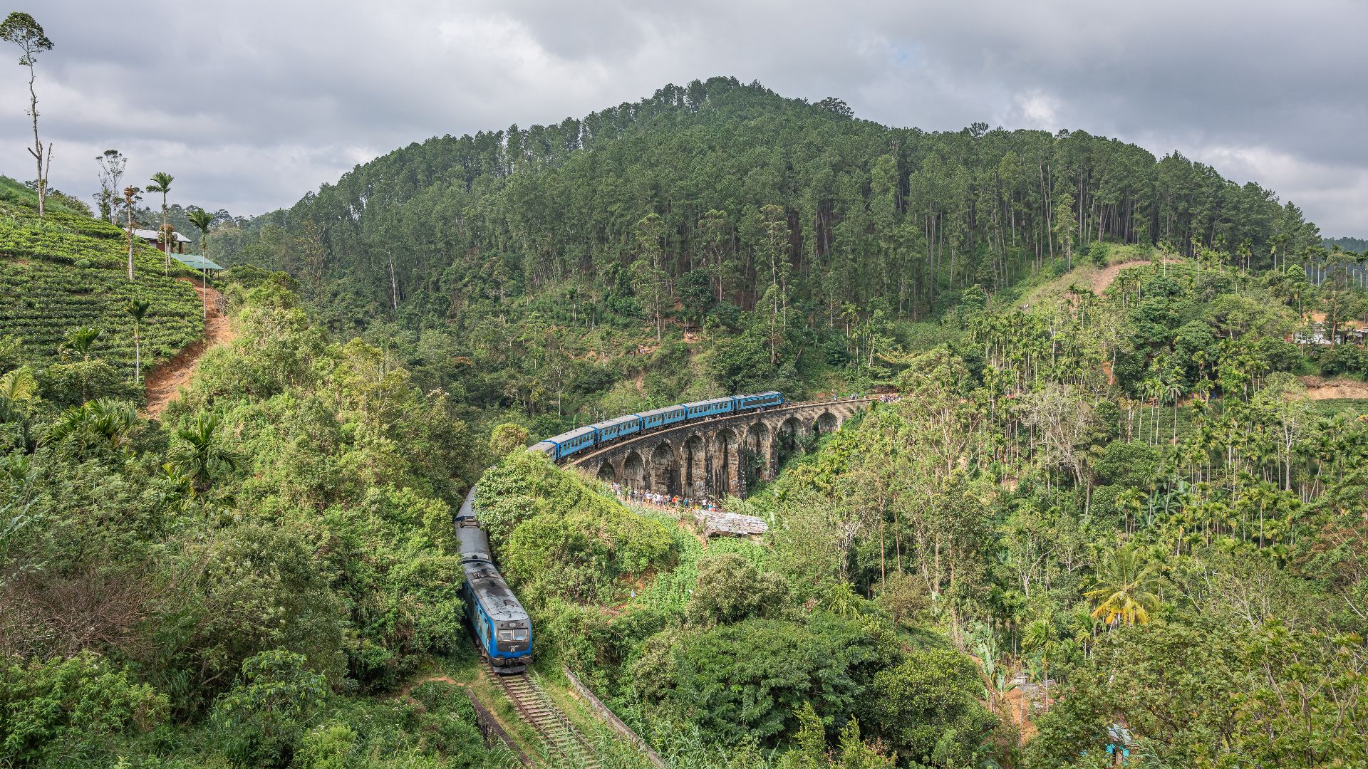 File:SL Demodara near Ella asv2020-01 img02.jpg