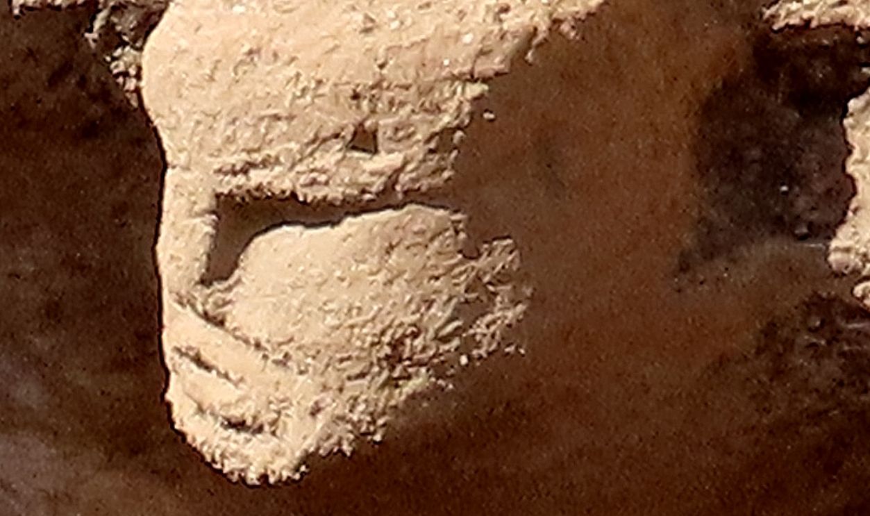 The Mystery Of Human Faces In Stone