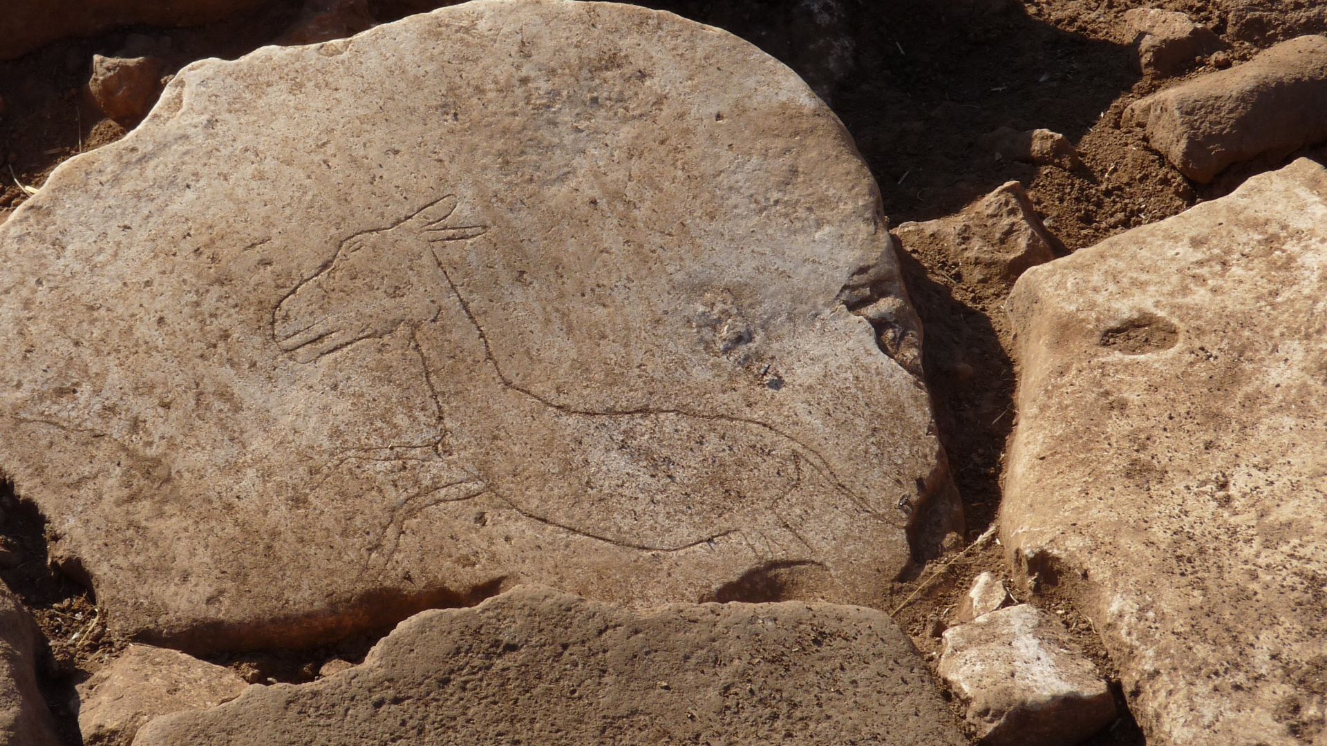 File:Karahan Tepe gazelle petroglyph.jpg