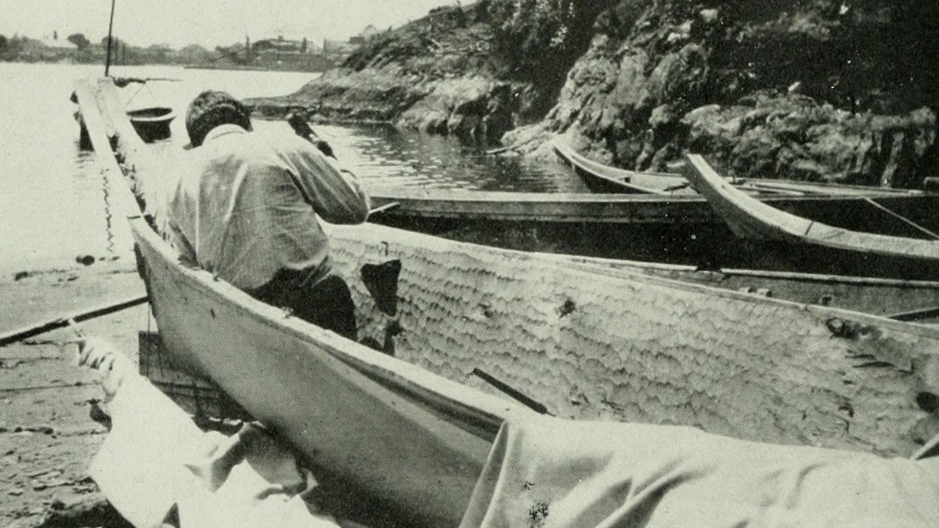 File:The American Museum journal (c1900-(1918)) (17971902930).jpg