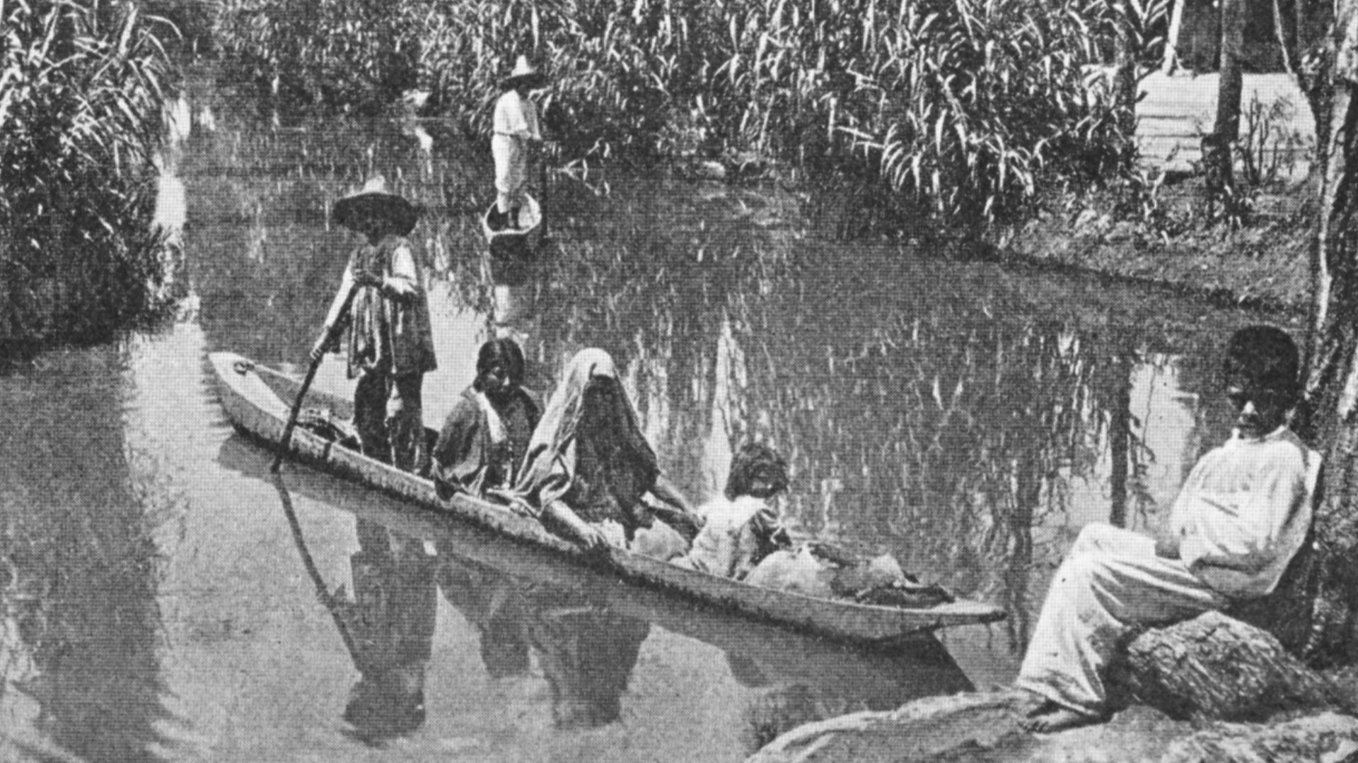 File:Chinampas.jpg