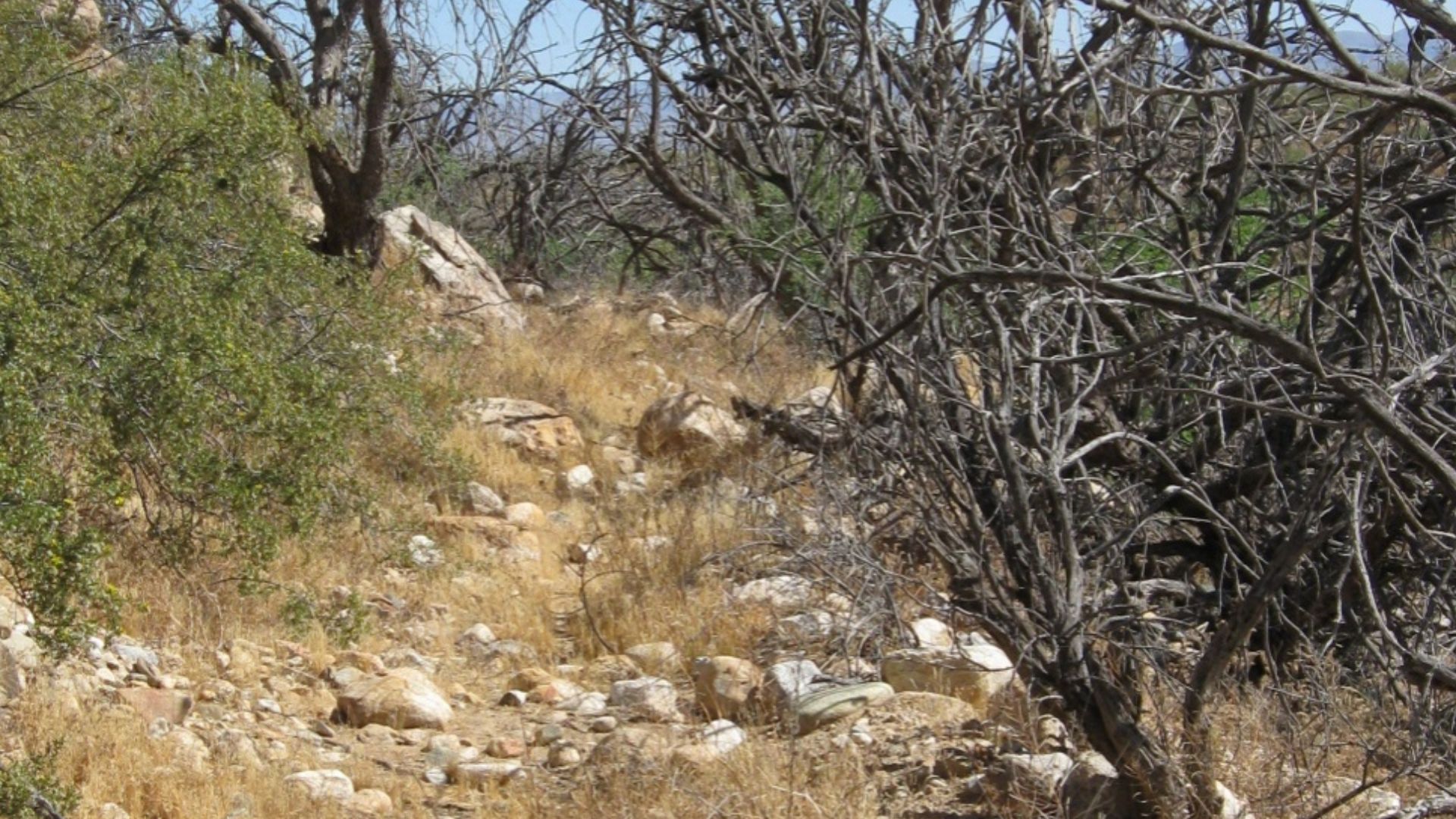 File:Robinson Mesa Hanging Canal.jpg