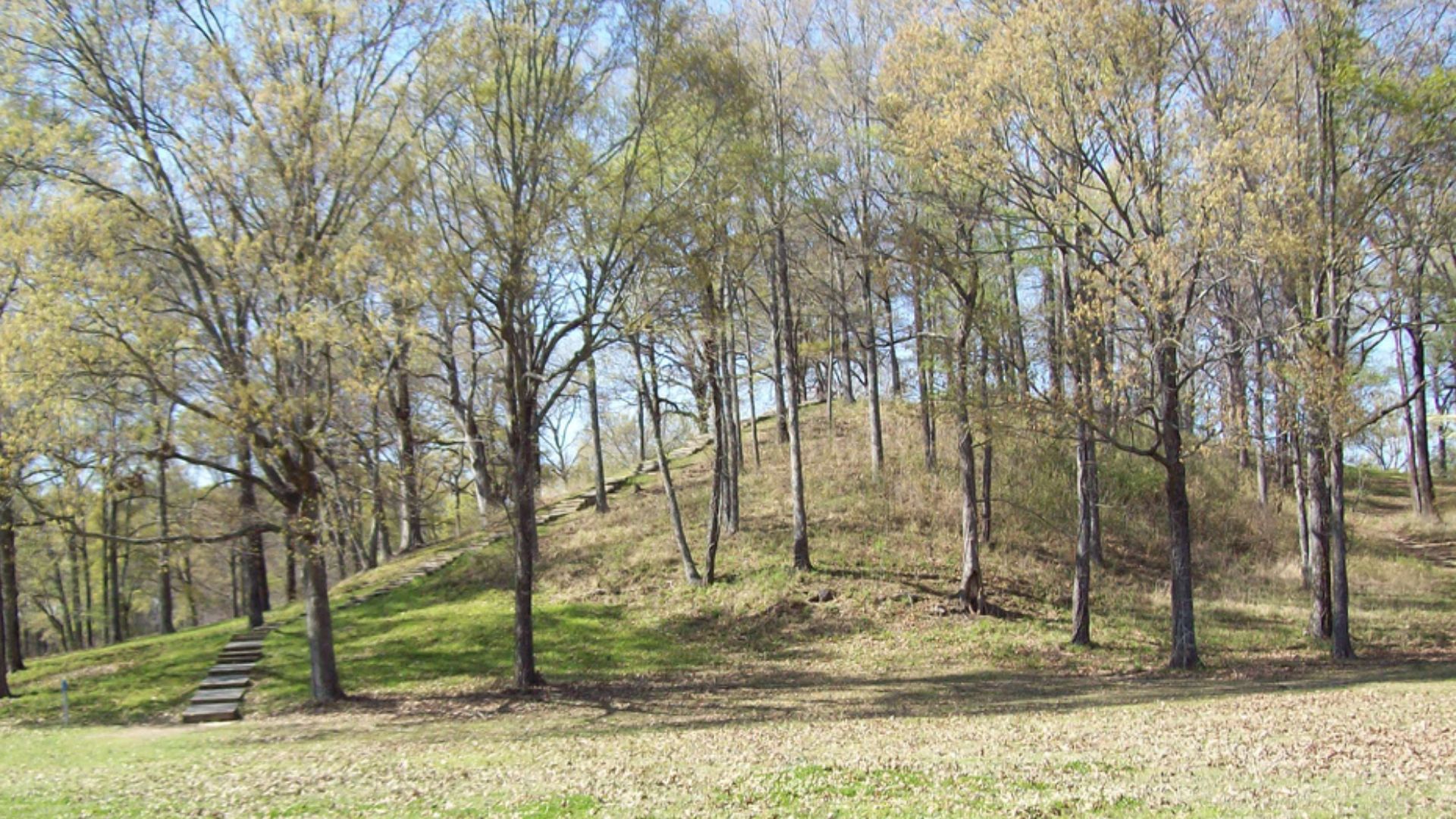 File:Mound A at Poverty Point.jpg