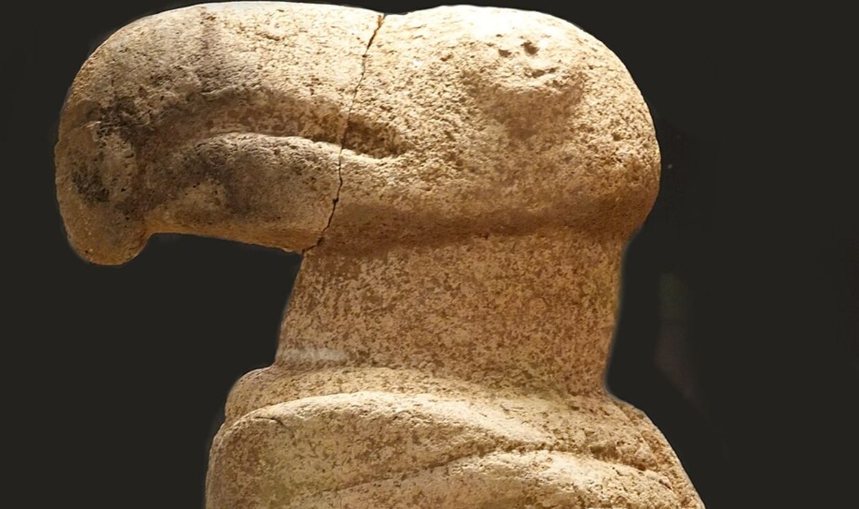 Tracking Seasons & Animals