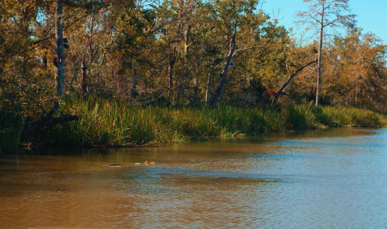 Screenshot from Clotilda: Last American Slave Ship (2022)