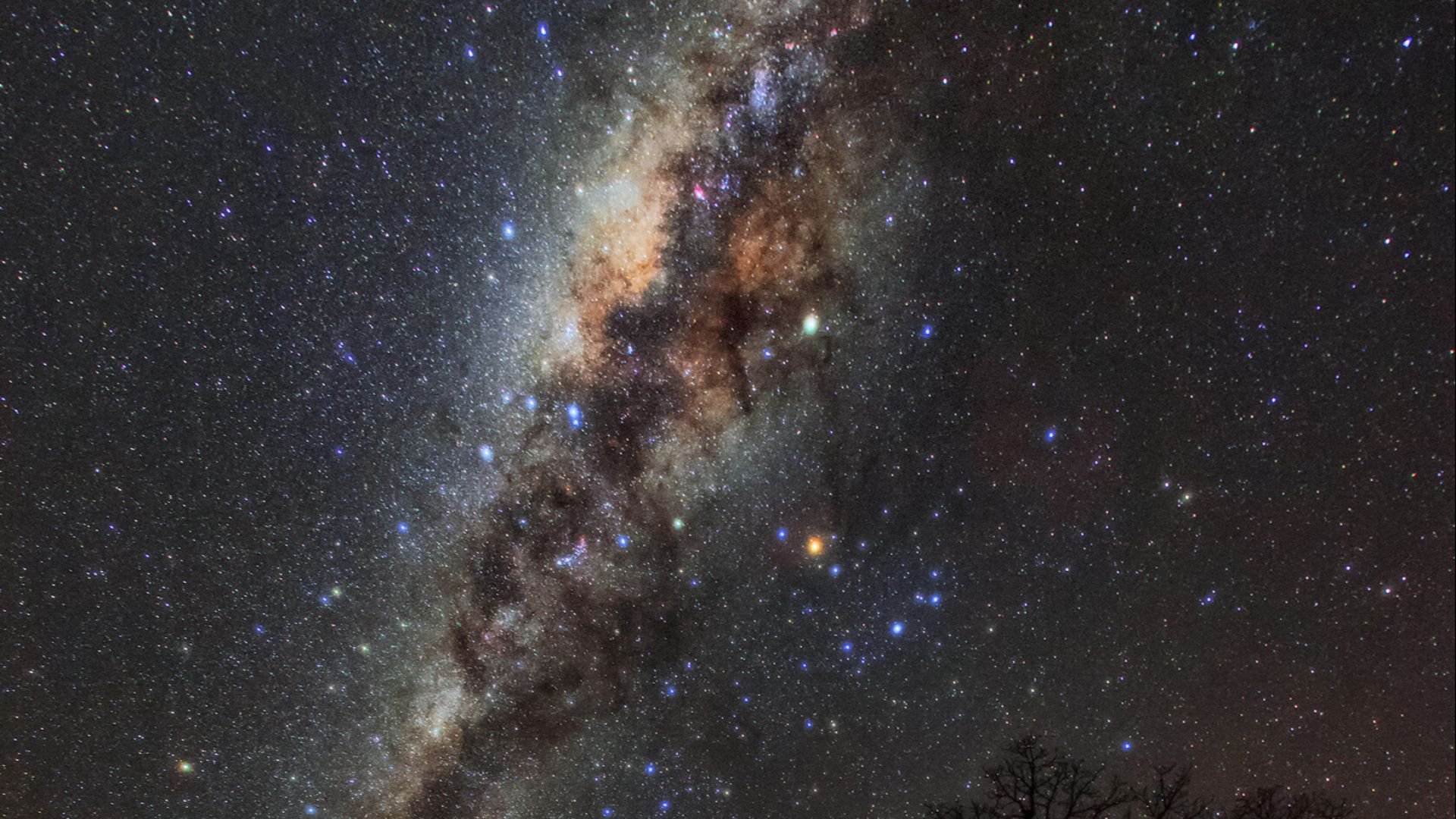 File:Milky Way over Avenue of Baobabs (ann22042n).jpg