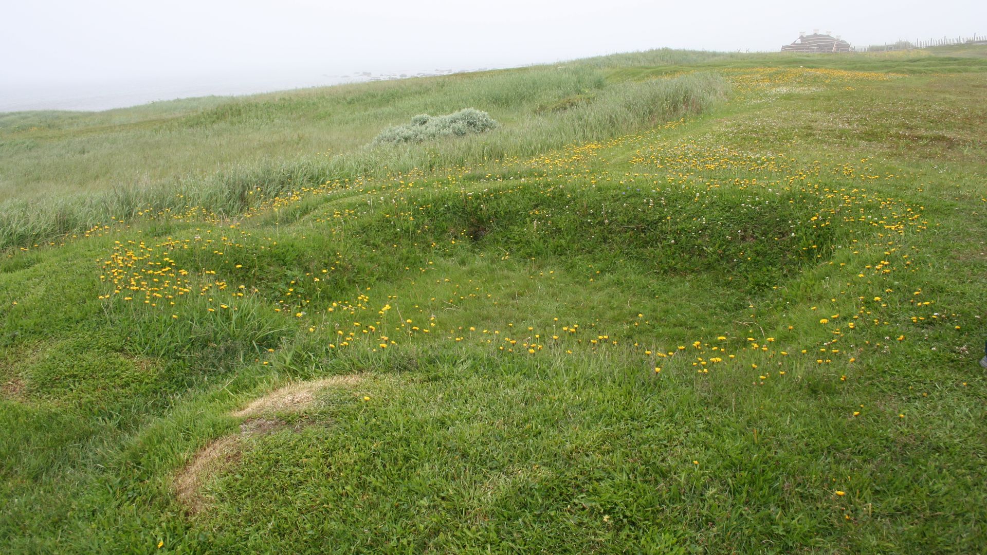 File:L'Anse aux Meadows, mounds from original Viking Longhouse.JPG
