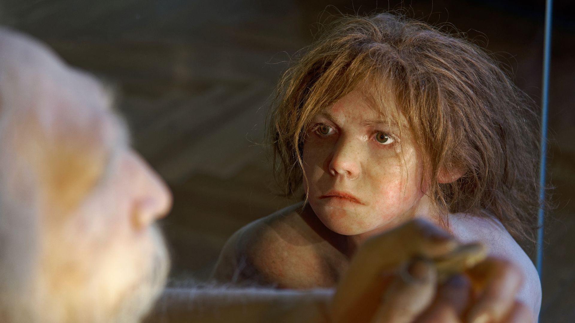 File:Homo neanderthalensis, The Natural History Museum Vienna, 20210730 1225 1278.jpg