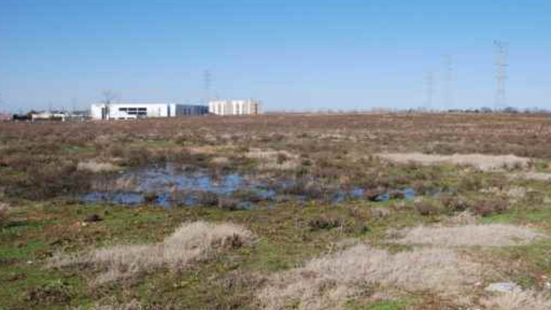 File:NP momSite2008.jpg