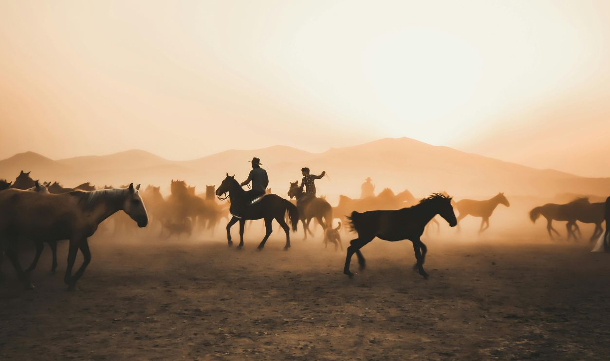 The Best Laid Plans Of Mice And Men Often Go Awry