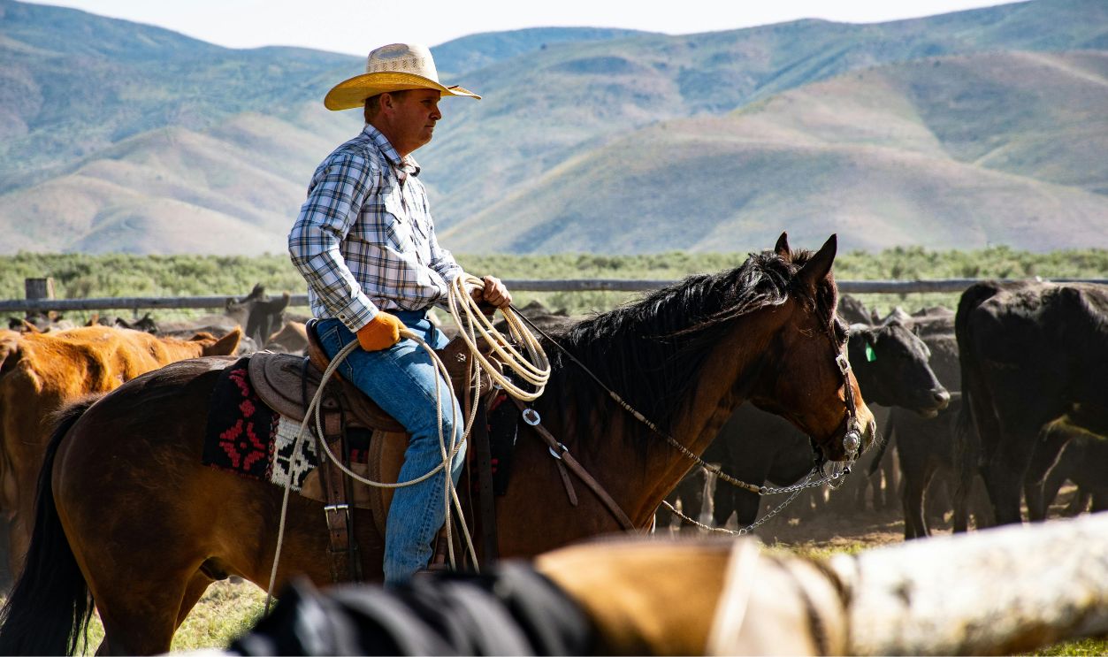 Honor Is Like A Brand On A Cowboy’s Soul—Once Burned In, It Never Fades