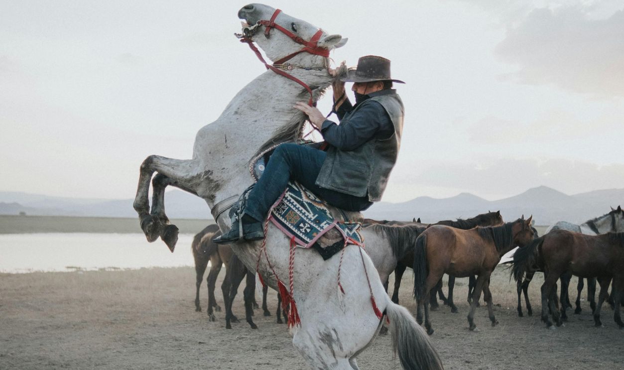 A Cowboy Never Quits—He May Stumble, But He’ll Never Fall For Long.