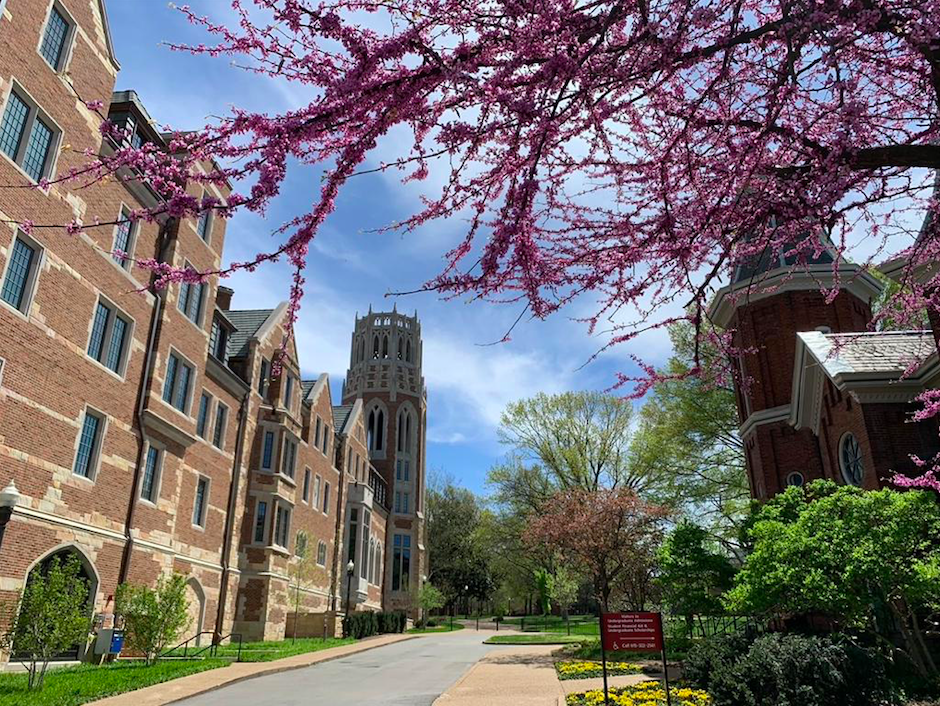 Old Gym at Vanderbilt University - 2020