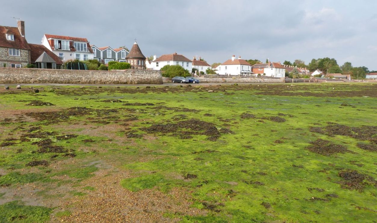 Bosham, West Sussex
