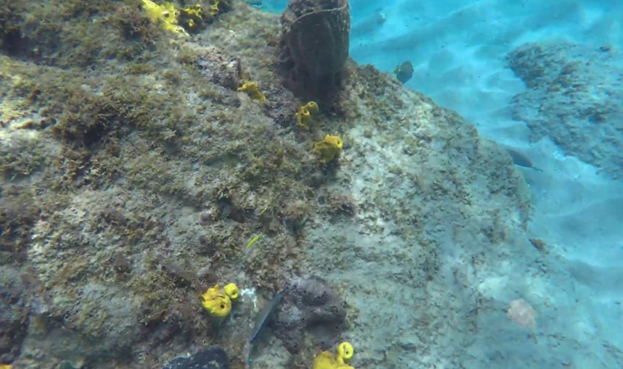 Anse Chastanet, St Lucia