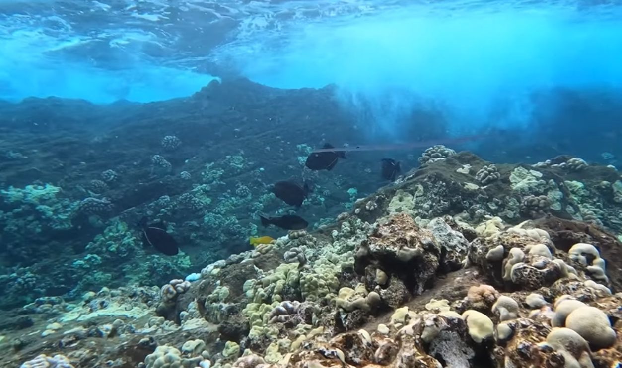 Molokini Crater, Hawaii, USA