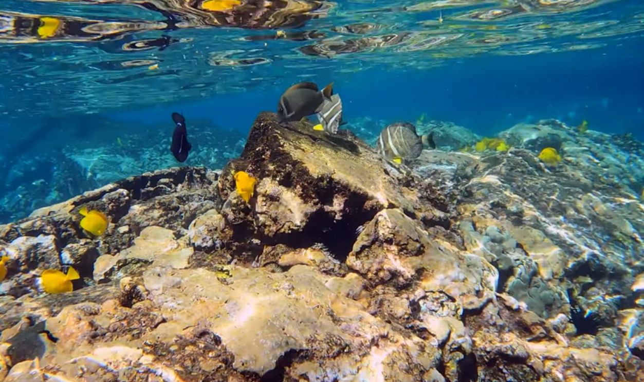 Kealakekua Bay, Hawaii, USA