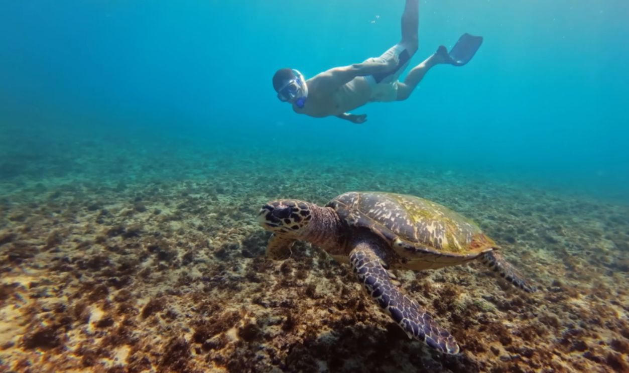Fernando De Noronha, Brazil