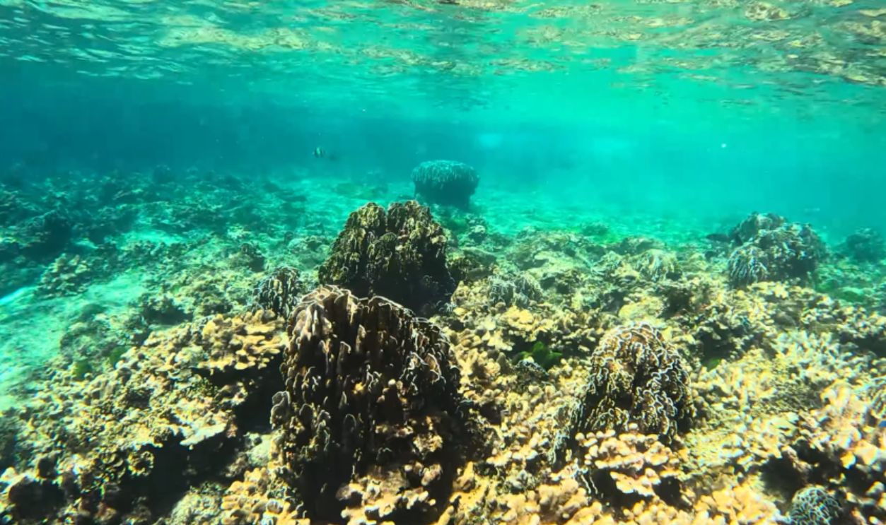Similan Islands, Thailand