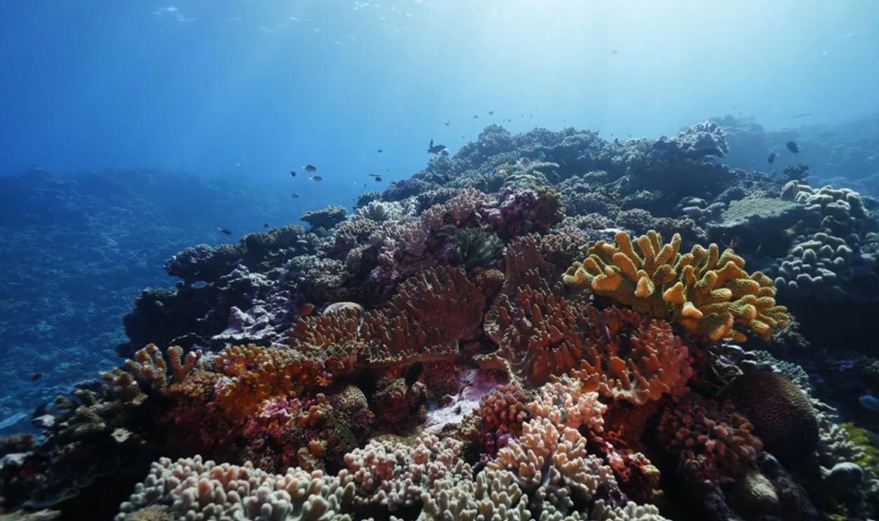 Great Astrolabe Reef, Fiji
