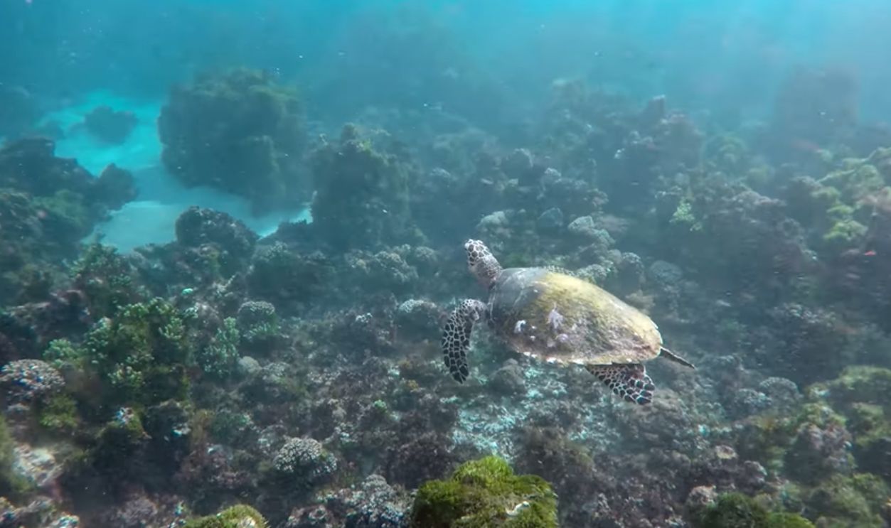Lord Howe Island, Australia